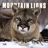 Mountain Lions Wall Calendar: 2004