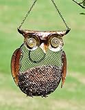 Owl Bird