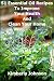 Books : 51 Essential Oil Recipes To Improve Your Health And Clean Your Home