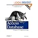 Access Database Design and Programming (Nutshell Handbooks)