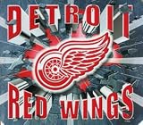 DETROIT RED WINGS NHL Hockey Computer Mousepad Mouse Pad New