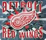 DETROIT RED WINGS NHL Hockey Computer Mousepad Mouse Pad New
