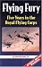 Flying Fury: Five Years in the Royal Flying Corps (Greenhill Military Paperback)