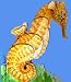 Portable Pets: Seahorse (Portable Pets) by Abrams