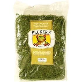 Fluker's 4 qt Green Repta Moss