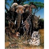 Dan McManis Africa Animal Tiger Art Print POSTER Safari - 13x19