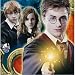All Products : Harry Potter Lunch Napkins 16ct