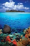 Tropical Scenery i poster print,24 in. x 36 in.