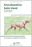 Kreuzbandriss beim Hund: Ein praktischer Ratgeber für Besitzer