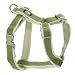 Planet Dog Cozy Hemp Adjustable Harness