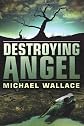 Destroying Angel (Righteous Series #5)