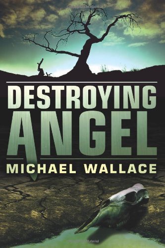 Destroying Angel (Righteous Series Book 5)