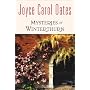 Mysteries of Winterthurn