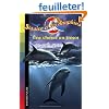 Jessica et les dauphins, Tome 3 : Une chasse au tr�sor