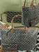 GOYARD(ゴヤール) レディース トートバッグ 【全12色 正規品】Saint Louis サンルイ PM ポーチ付き 新品 2年保証(並行輸入品)