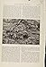 Hiding Cunning Old Stag The Encyclopedia Of Sport C1898