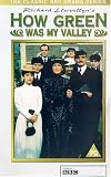 How Green Was My Valley [VHS] [UK Import]