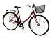 Sie suchen ein modernes Citybike mit bequemen Einstieg? 
Durch die kompakte und einfache Ausstattung, kommt dieses Fahrrad auch ohne Schaltung aus. Mit seiner STVZO-Austattung sind sie trotzdem optimal ger&uuml;stet. Die frische rote Farbe verleiht dem Fahrrad ein atrakitves Design und ist somit ein echtes Highlight. Es verf&uuml;gt &uuml;ber ein 2-fach Bremssystem, Felgenbremse vorn und hinten, Freilauf, Korb, Gep&auml;cktr&auml;ger und Kettenschutz und das alles zu einem unschlagbaren Preis- Leistungsverh&auml;ltniss.