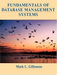 Fundamentals of Database Management Systems