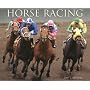 Horse Racing 2009 Calendar