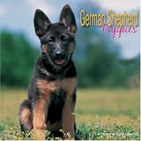 German Shepherd Puppies 2008 Wall Calendar