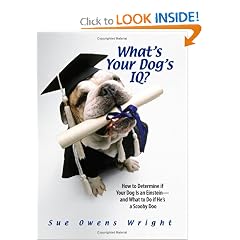 What's Your Dog's IQ?: How to Determine If Your Dog Is an Einstein--and What to Do If He's a Scooby Doo