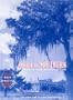 American Southern