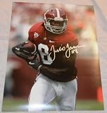 Julio Jones Autographed Alabama Crimson Tide 11x14 Photo, National Champions, Atlanta Falcons, Top Wide Receiver, 2011 NFL Draft