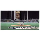 Good Sports Art Kansas City Royals Kansas City Star Lithograph