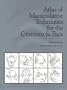 Atlas of Manipulative Techniques for the Cranium & Face