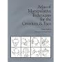 Atlas of Manipulative Techniques for the Cranium & Face