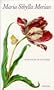 Maria Sibylla Merian: The New Book of Flowers (Prestel Art)