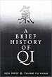 A Brief History Of Qi