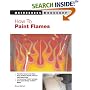 How to Paint Flames (Motorbooks Workshop) (Motorbooks Workshop) (Motorbooks Workshop)