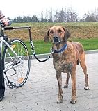Eigenschaften Rosenau24  / Biker Set