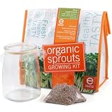 Eco-Culture Organic Spicy Lentil Crunch Sprouts Growing Kit