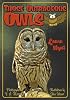 Those Outrageous Owls