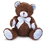 Blue & Brown Plush Teddy Bear Adorable Stuffed Animal
