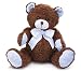 Blue & Brown Classic Plush Teddy Bear Stuffed Animal