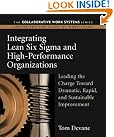 Integrating Lean Six...