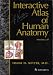 Interactive Atlas of Human Anatomy (CD-ROM)