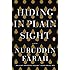 Hiding in Plain Sight: A Novel