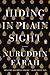Hiding in Plain Sight: A Novel
