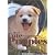 More Cute Puppies―幸せな小犬たち (30 POST CARDS)