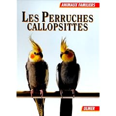 Les perruches callopsittes