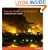 21 Days to Baghdad: A Chronicle of the Iraq War (Reuters Prentice Hall Series on World Issues)