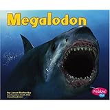 Megalodon (Dinosaurs and Prehistoric Animals)