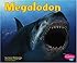 Megalodon (Dinosaurs and Prehistoric Animals)