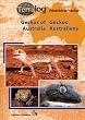 Geckos Australiens