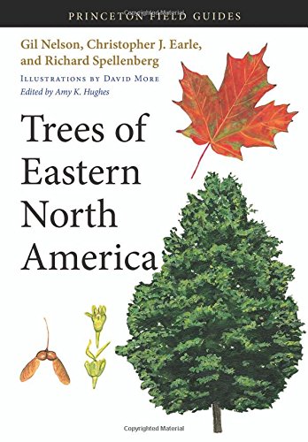 trees of eastern north america princeton field guides